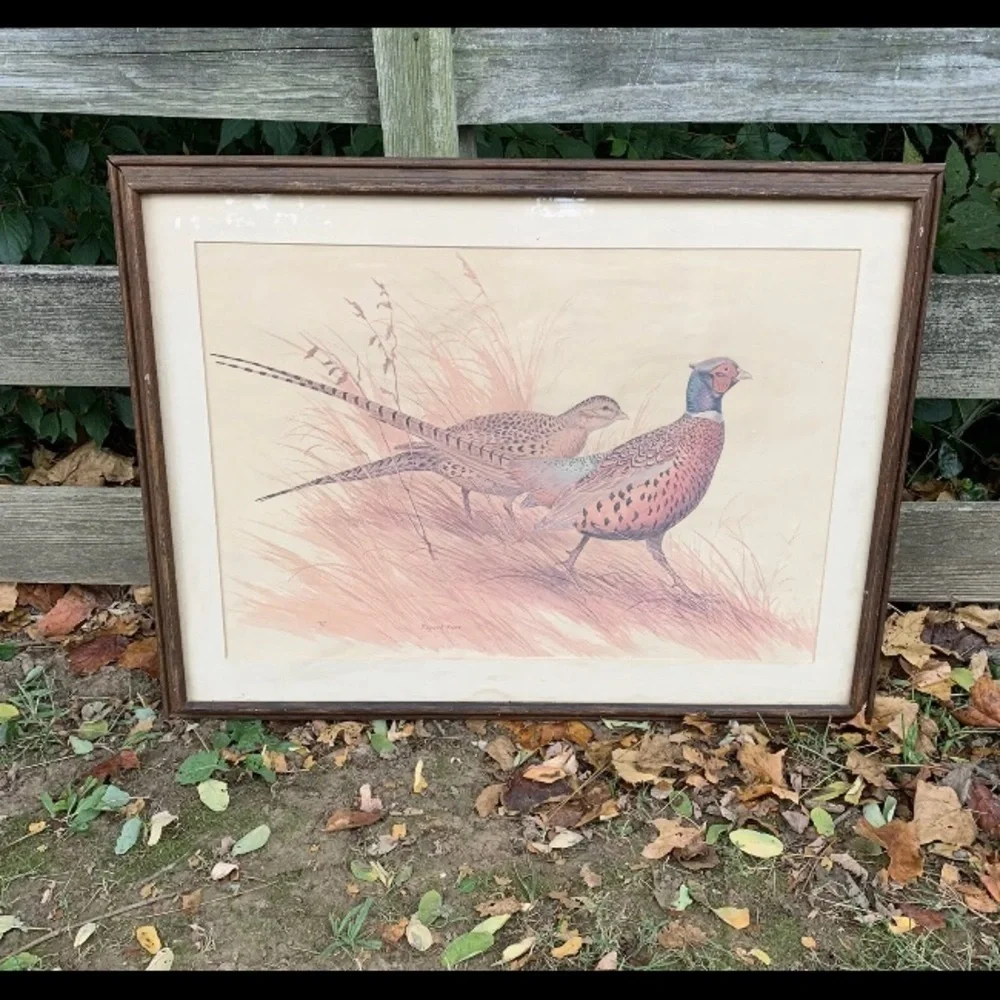 Maynard Reece GRACEFUL PAIR-RING NECKED PHEASANTS